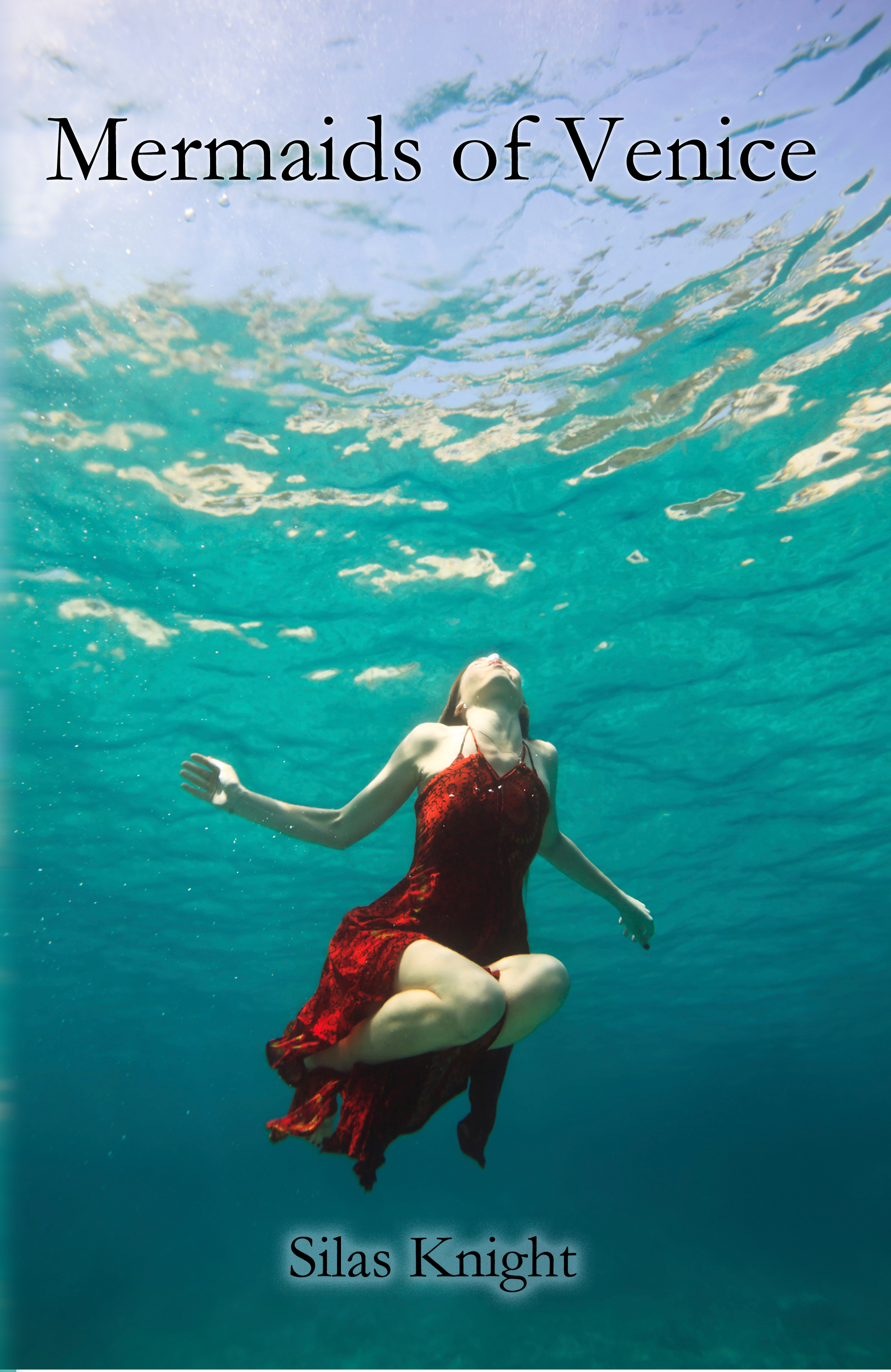 Mermaids of Venice book cover